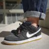 Nike Dunk Low Sb Black Gum