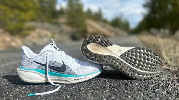 FIRST COPY Nike Pegasus 41