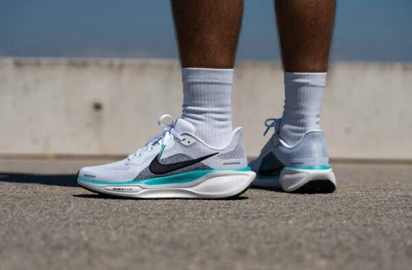 FIRST COPY Nike Pegasus 41 - Image 4