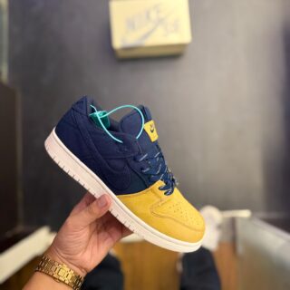 FIRST COPY Nike SB Dunk Low Pro Backpack