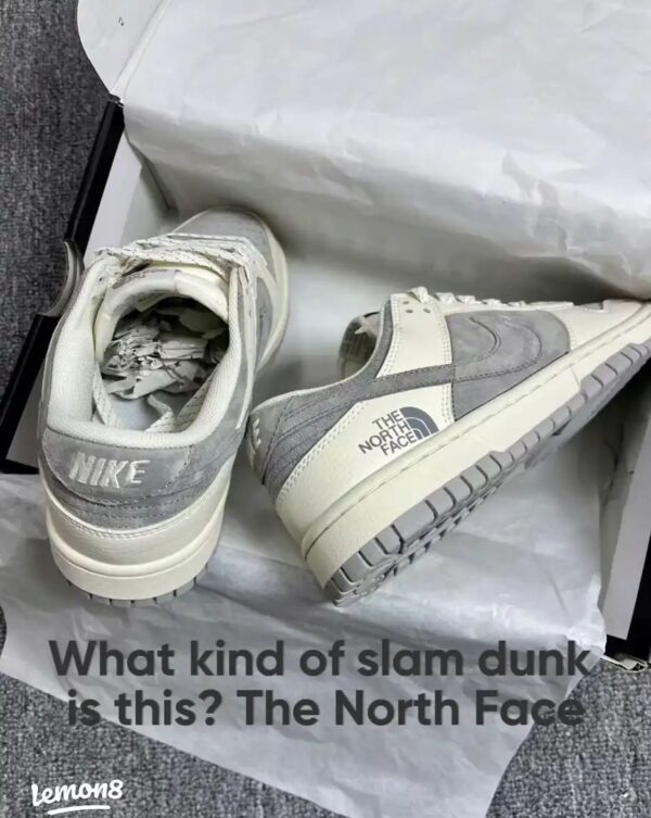 First Copy Nike SB Dunk North Face OG Grey 2025 - Image 6